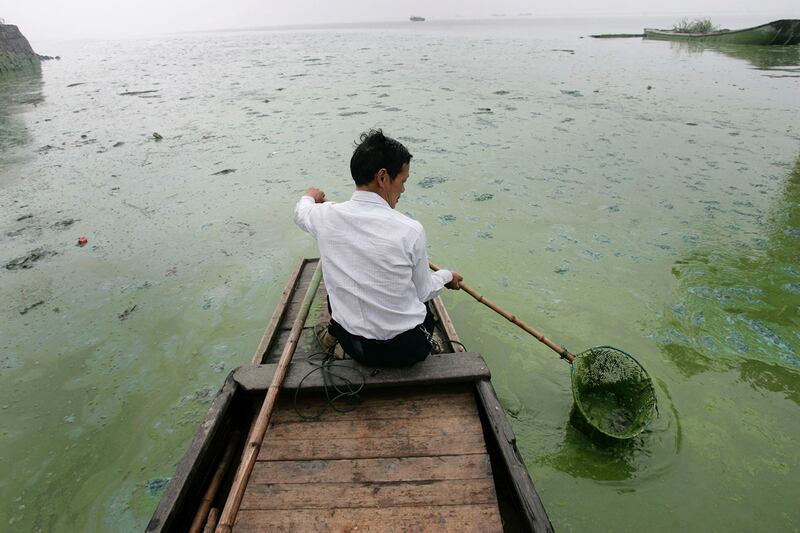 长江流域污染严重,水域优养化,不时发生赤潮灾害。(美联社)