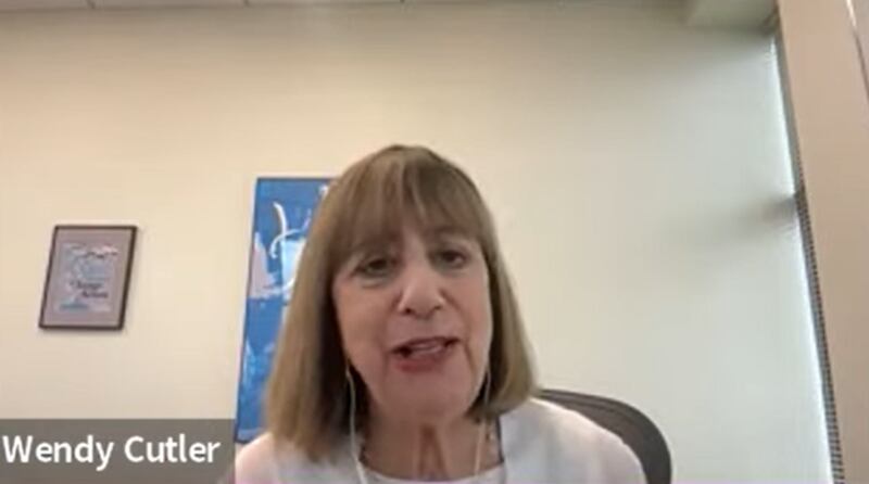 曾在美国前总统奥巴马任内担任代理副贸易代表、现为智库ASPI副所长的科特勒指出,中国电动车产能过剩问题仿佛历史重演,美国过去许多产业都曾经历类似问题。(视频截图/Zoom)