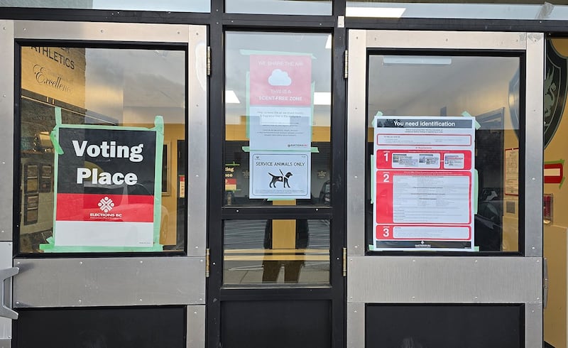 有来自中国的白纸运动青年在选务站工作,人生首度近距离体验到民主选举,称未来也想成为候选人投入政治。 (记者柳飞拍摄)