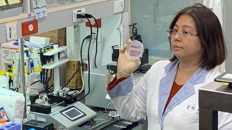 中研院杨安绥研究团队研发快筛新冠病毒筛选。(中研院提供)