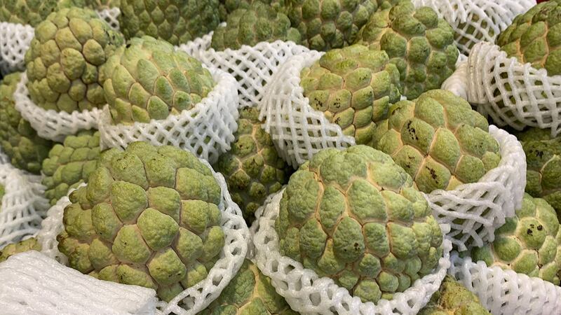 中国无预警宣布暂停台湾番荔枝(又称释迦,如图)和莲雾输入。(记者夏小华摄)