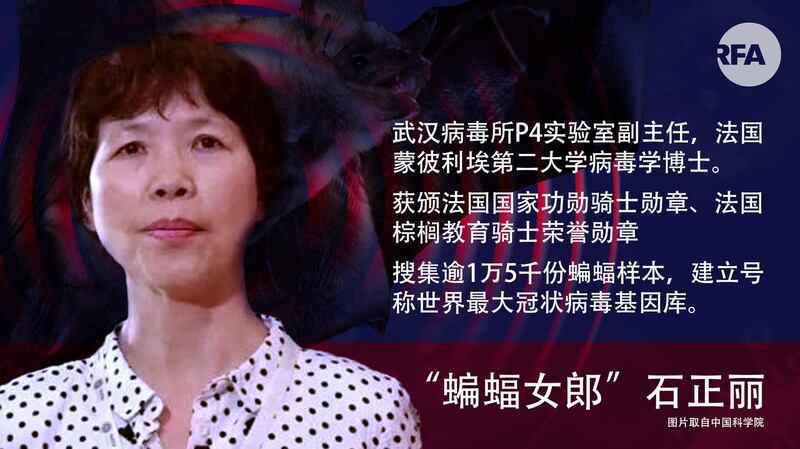 “蝙蝠女郎”石正丽(自由亚洲电台制图)