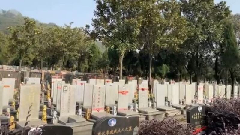 武汉扁担山墓园今年突增许多墓地(志愿者提供/记者乔龙)