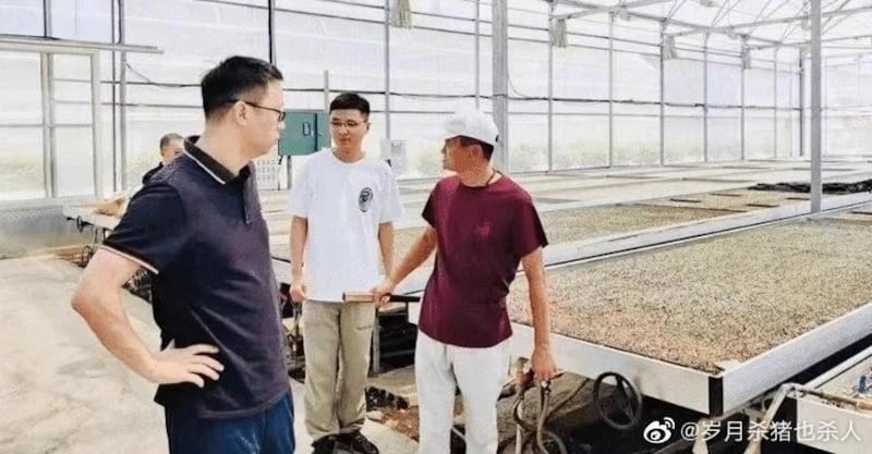 网上流传马云9月1日,低调现身浙江平湖的数位菜棚。距离他5月10日公开露面,已将近四个月。(取自网路)