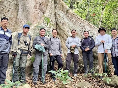 សហគមន៍ស្នើឱ្យលោក ហ៊ុន ម៉ាណែត ទប់ស្កាត់បទល្មើសព្រៃឈើក្នុងឧទ្យានជាតិជួរភ្នំក្រវាញកណ្ដាល ក្រោយលោកចុះទៅតំបន់នោះ